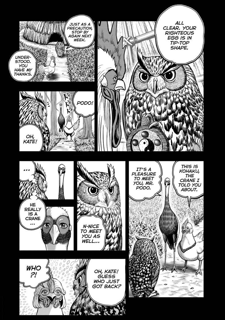 Rooster Fighter Chapter 52 page 5 - Chapter 52