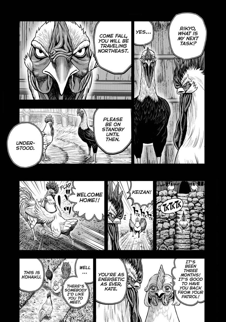 Rooster Fighter Chapter 52 page 7 - Chapter 52