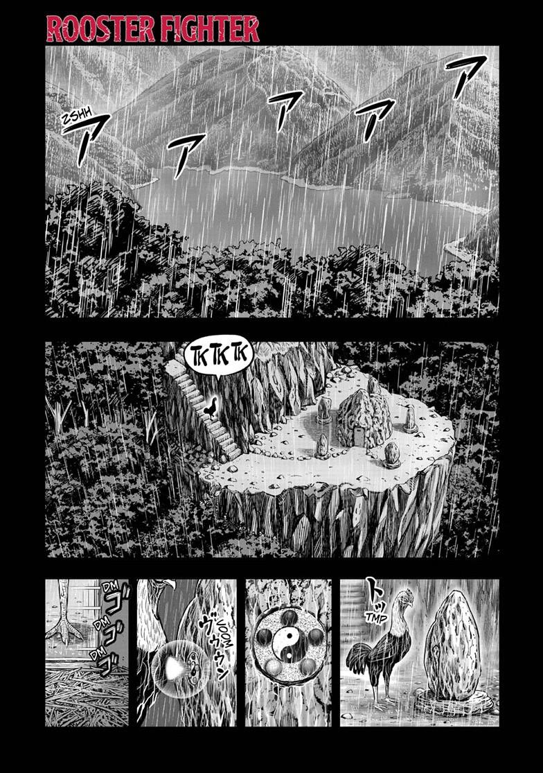 Rooster Fighter Chapter 53 thumbnail