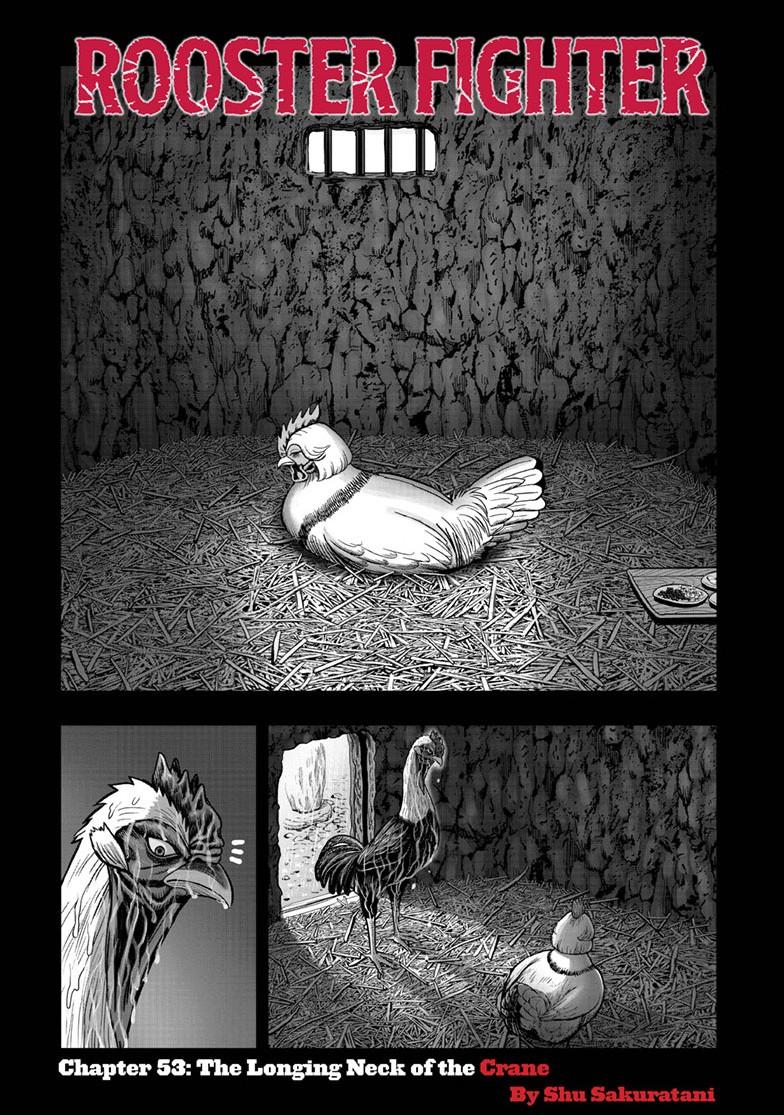 Rooster Fighter Chapter 53 page 2 - Chapter 53