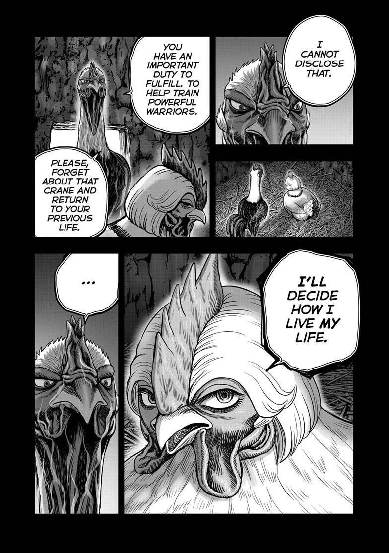 Rooster Fighter Chapter 53 page 5 - Chapter 53