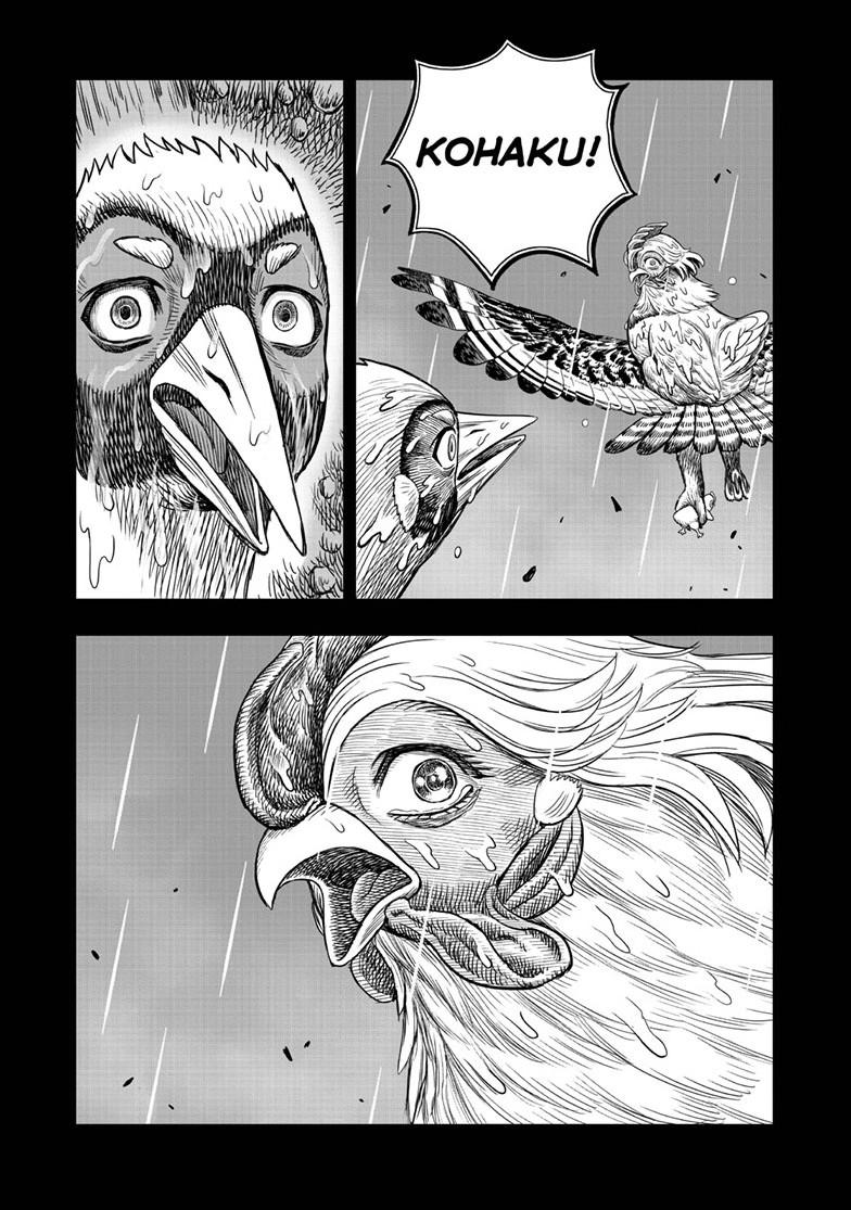 Rooster Fighter Chapter 53 page 53 - Chapter 53