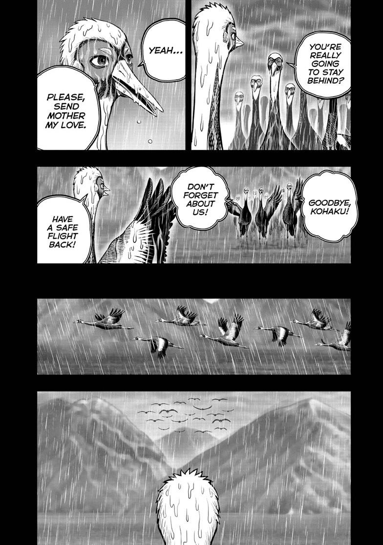 Rooster Fighter Chapter 53 page 8 - Chapter 53