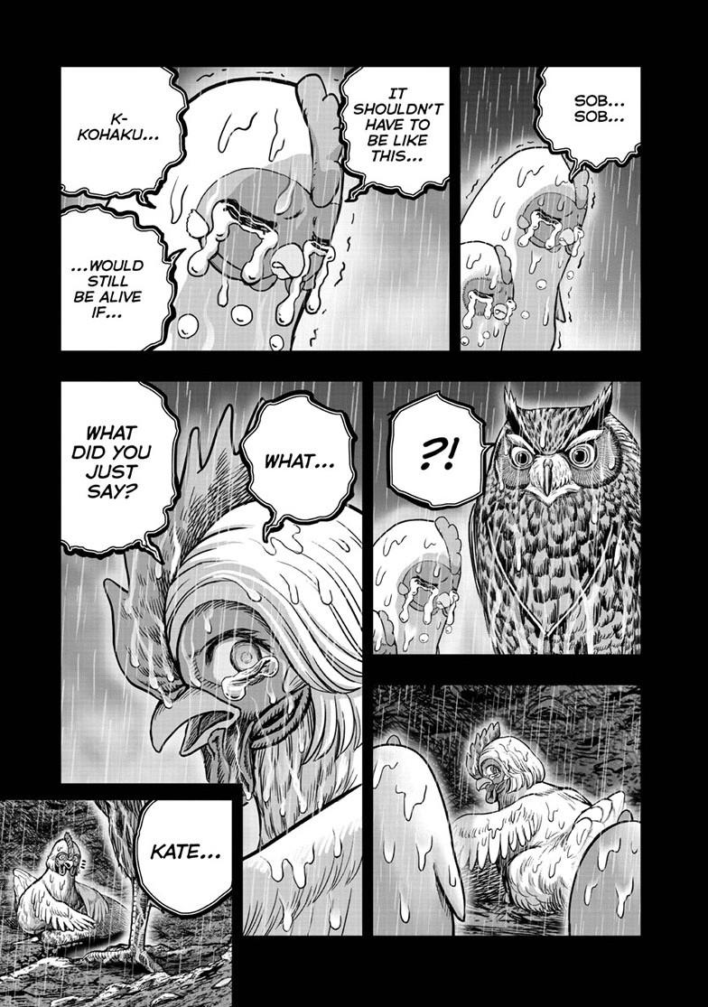 Rooster Fighter Chapter 54 page 13 - Chapter 54