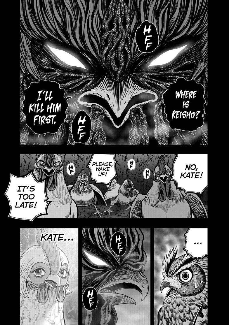 Rooster Fighter Chapter 55 page 17 - Chapter 55