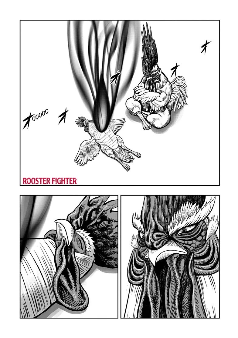 Rooster Fighter Chapter 56 page 1 - Chapter 56