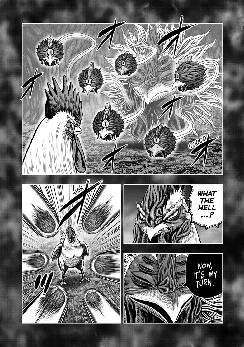 Rooster Fighter Chapter 56 page 10 - Chapter 56