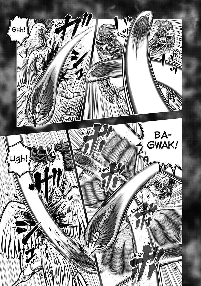 Rooster Fighter Chapter 56 page 11 - Chapter 56