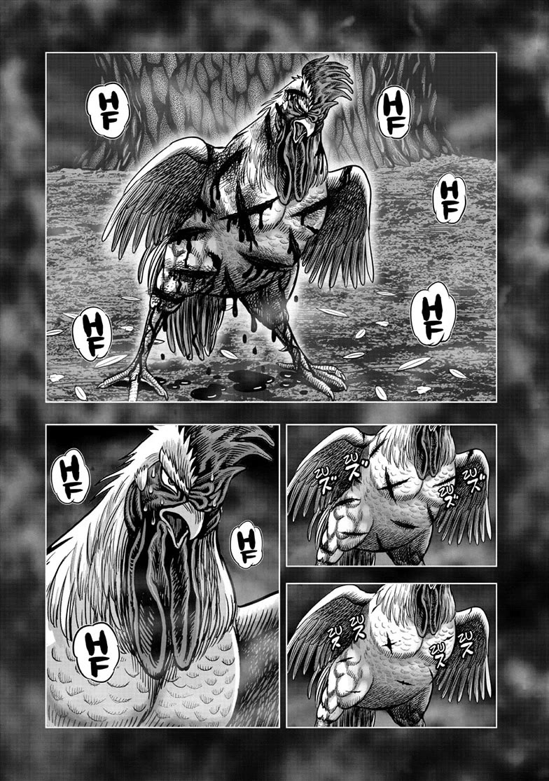 Rooster Fighter Chapter 56 page 13 - Chapter 56