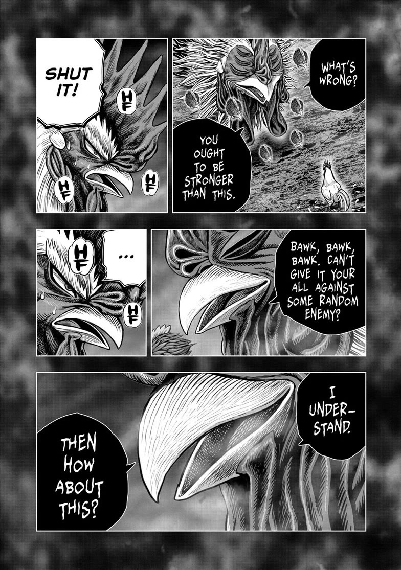 Rooster Fighter Chapter 56 page 14 - Chapter 56