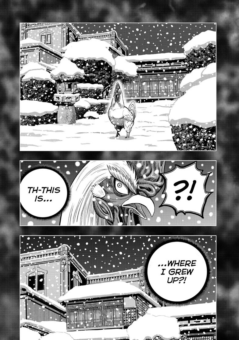Rooster Fighter Chapter 56 page 15 - Chapter 56