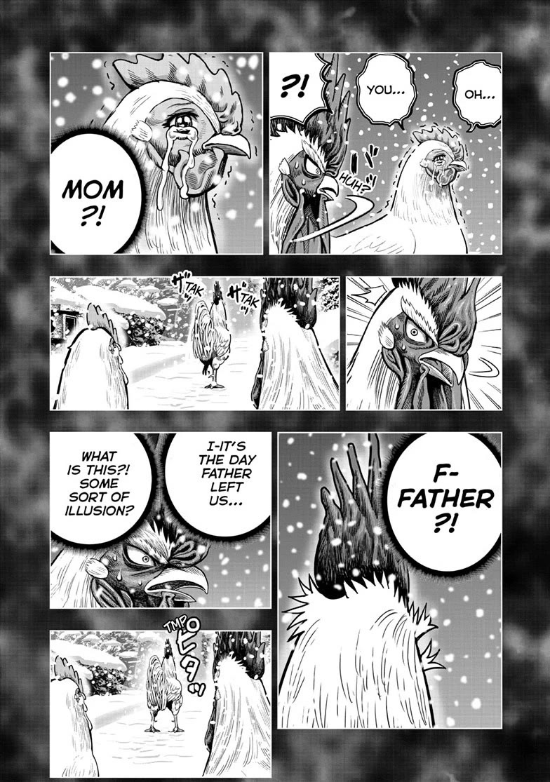 Rooster Fighter Chapter 56 page 16 - Chapter 56