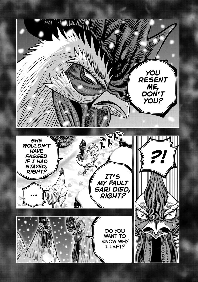 Rooster Fighter Chapter 56 page 17 - Chapter 56