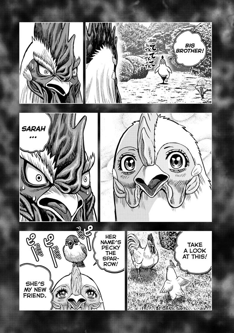 Rooster Fighter Chapter 56 page 21 - Chapter 56