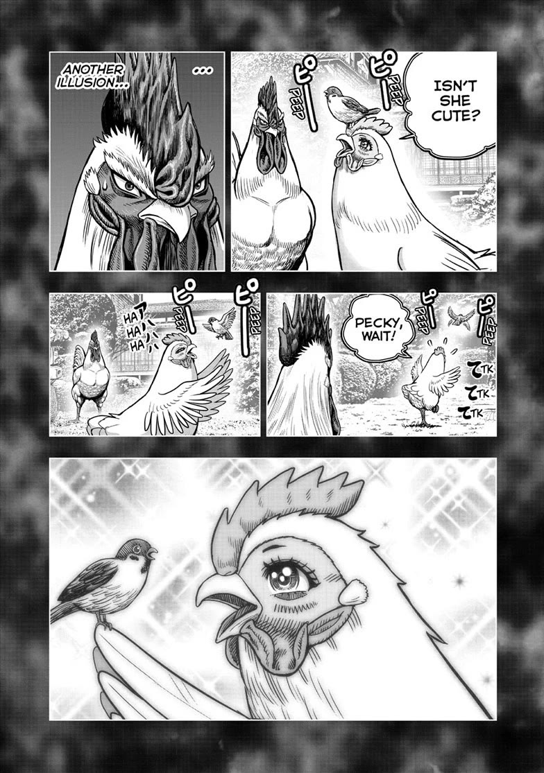 Rooster Fighter Chapter 56 page 22 - Chapter 56