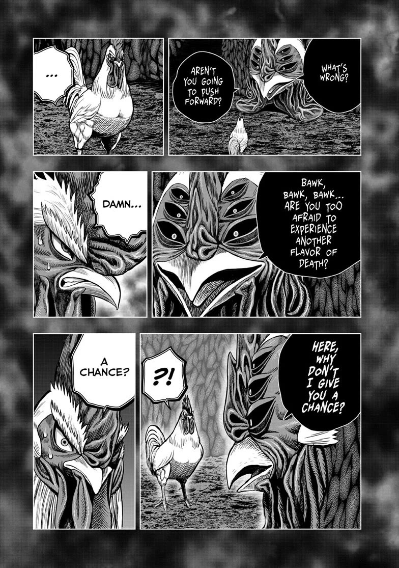 Rooster Fighter Chapter 56 page 3 - Chapter 56