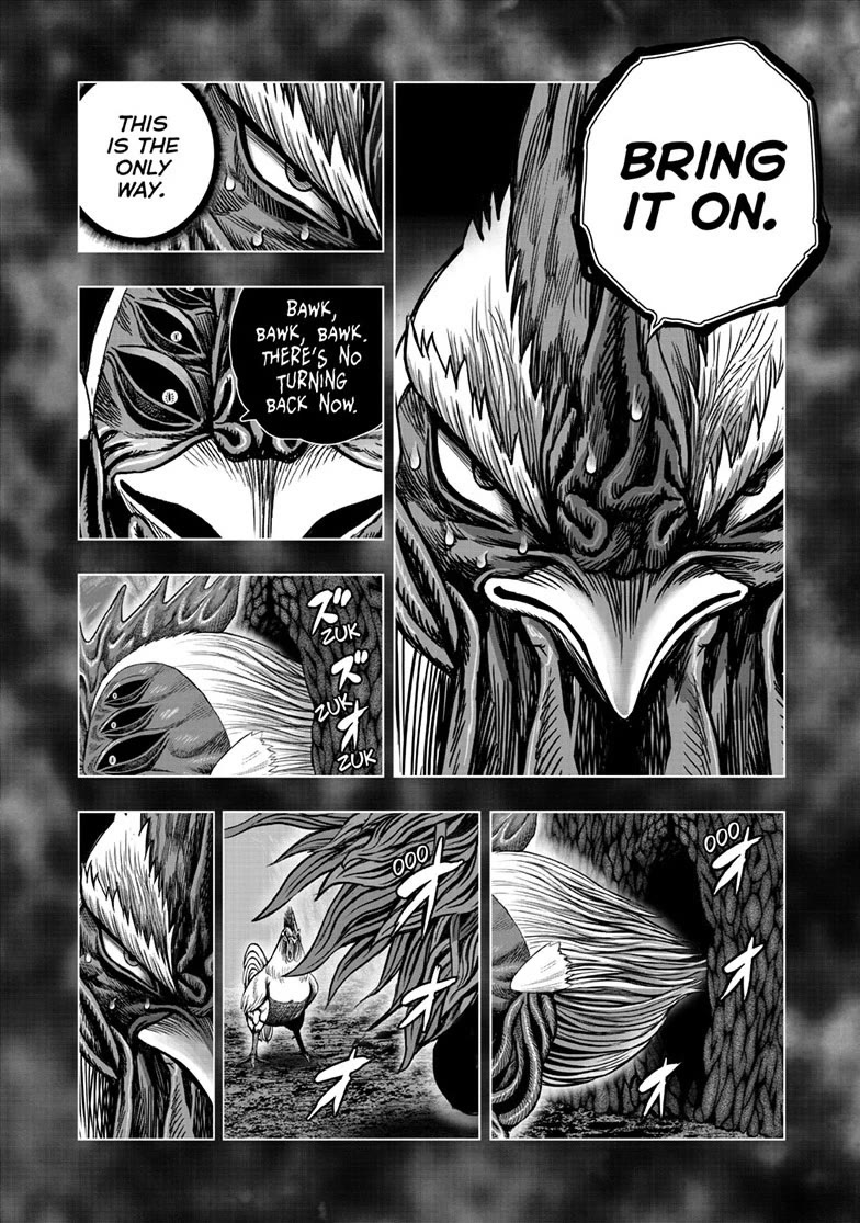 Rooster Fighter Chapter 56 page 6 - Chapter 56
