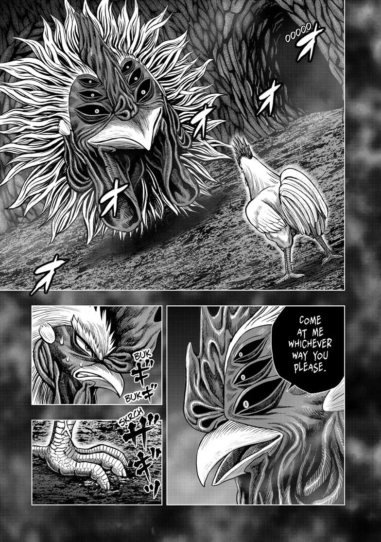 Rooster Fighter Chapter 56 page 7 - Chapter 56