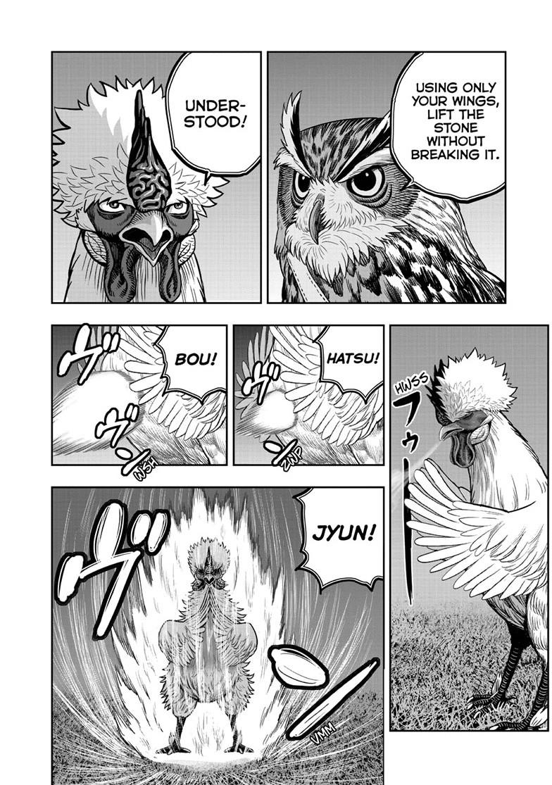 Rooster Fighter Chapter 57 page 2 - Chapter 57