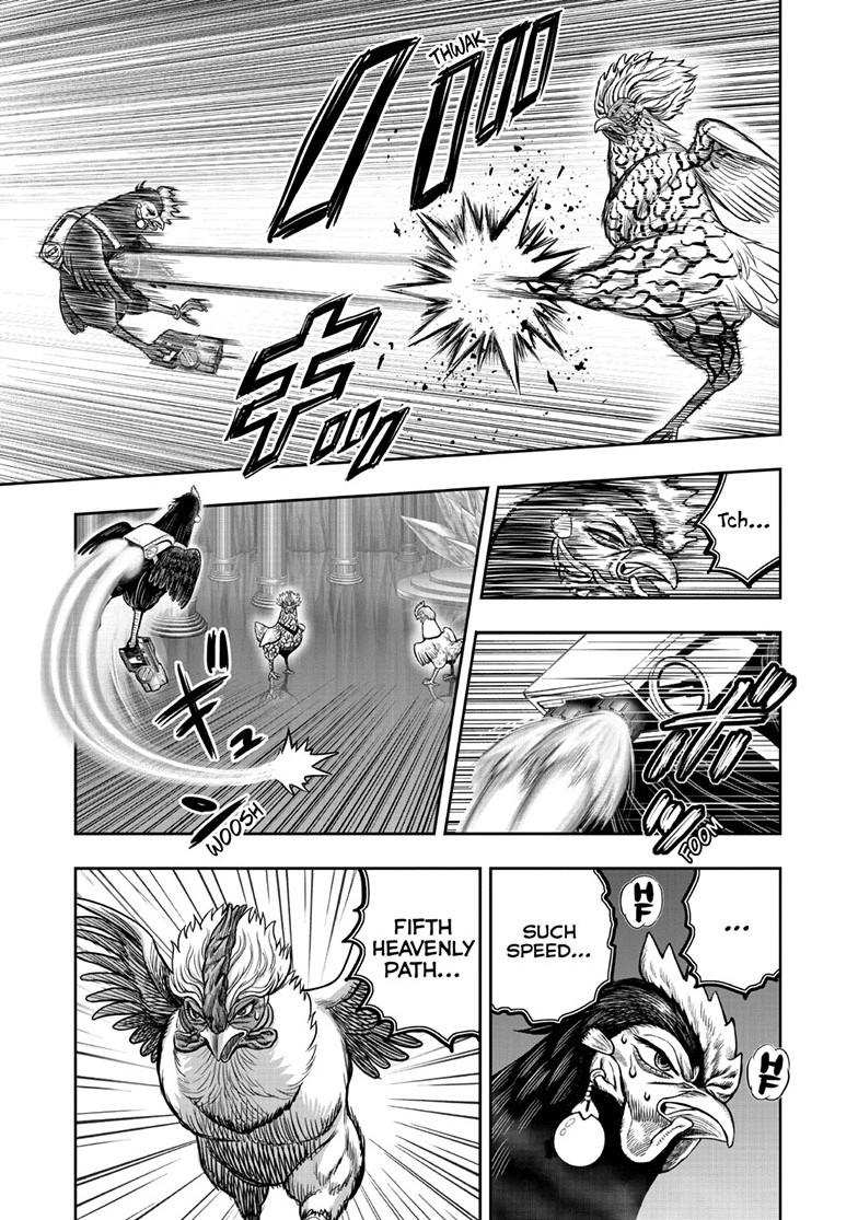 Rooster Fighter Chapter 58 page 3 - Chapter 58