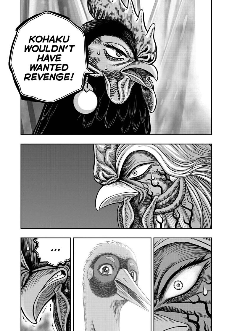 Rooster Fighter Chapter 59 page 12 - Chapter 59