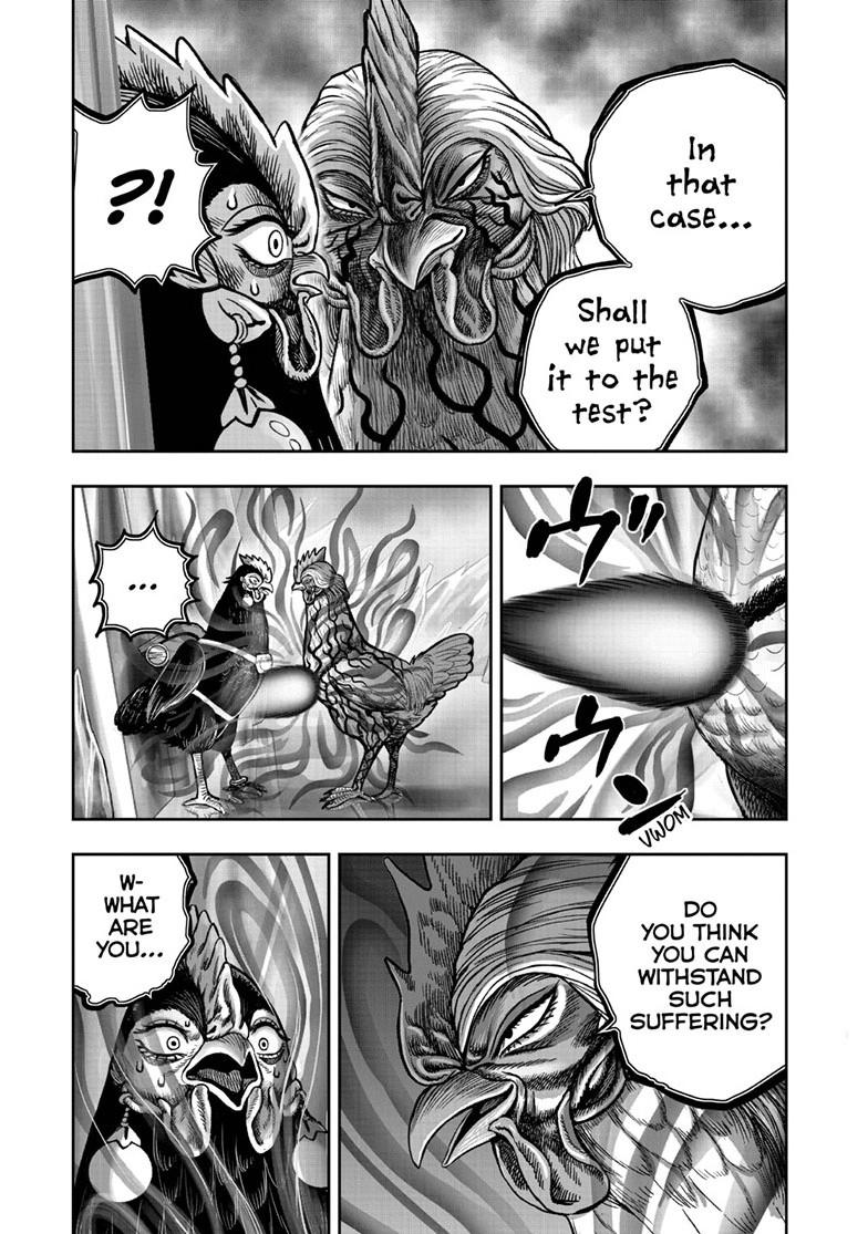 Rooster Fighter Chapter 59 page 15 - Chapter 59