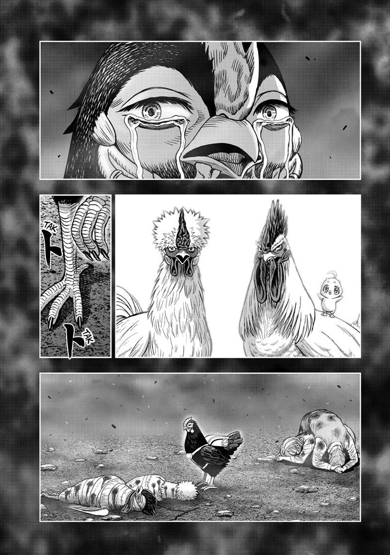 Rooster Fighter Chapter 60 page 22 - Chapter 60