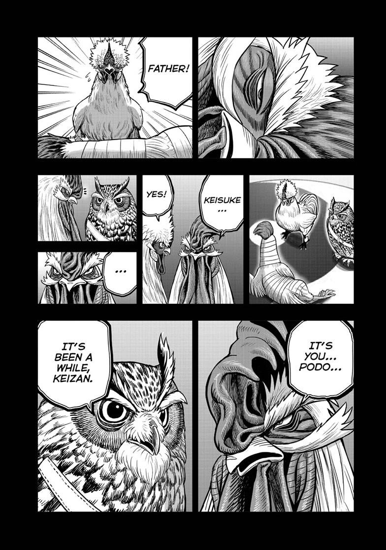 Rooster Fighter Chapter 61.1 page 28 - Chapter 61.1