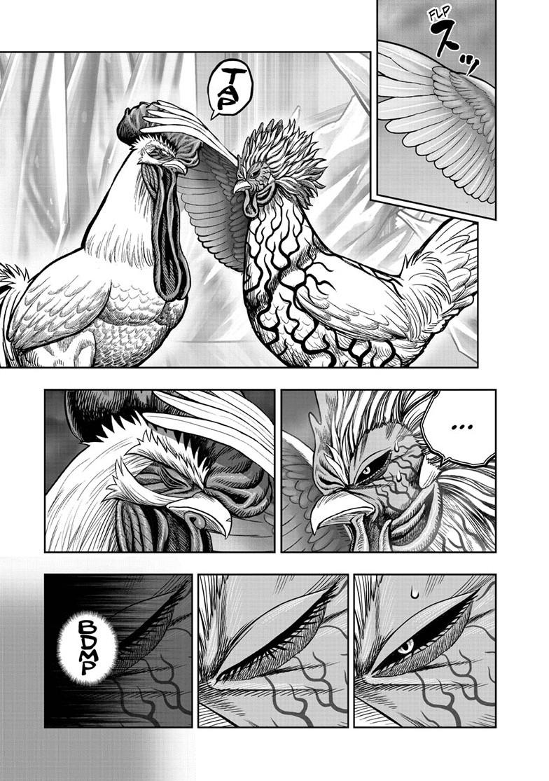 Rooster Fighter Chapter 61.1 page 35 - Chapter 61.1
