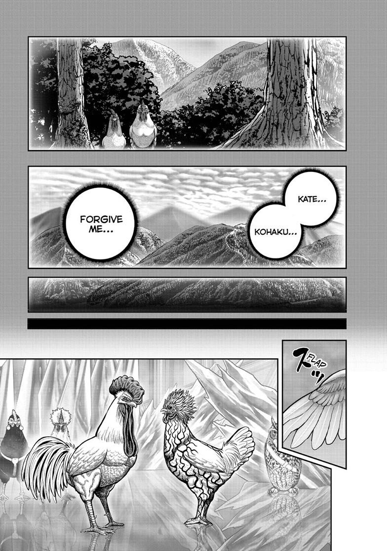 Rooster Fighter Chapter 61.1 page 47 - Chapter 61.1