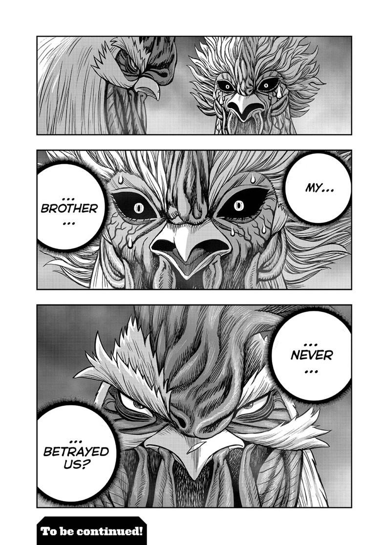 Rooster Fighter Chapter 61.1 page 48 - Chapter 61.1