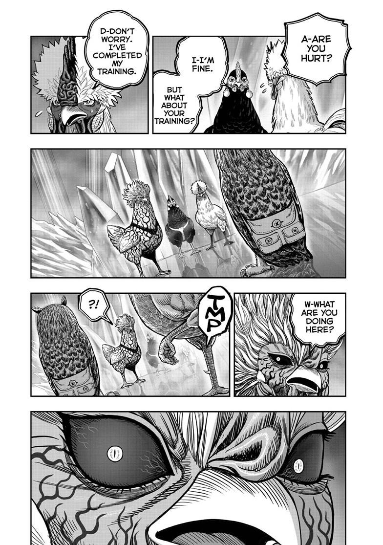 Rooster Fighter Chapter 61 page 19 - Chapter 61