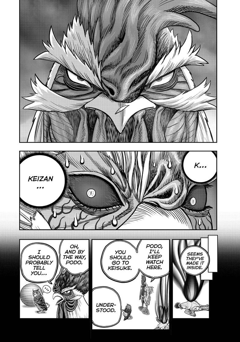 Rooster Fighter Chapter 61 page 21 - Chapter 61