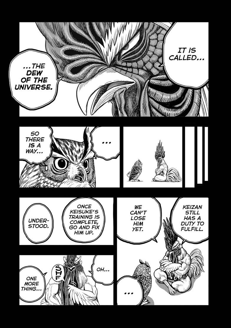 Rooster Fighter Chapter 61 page 23 - Chapter 61