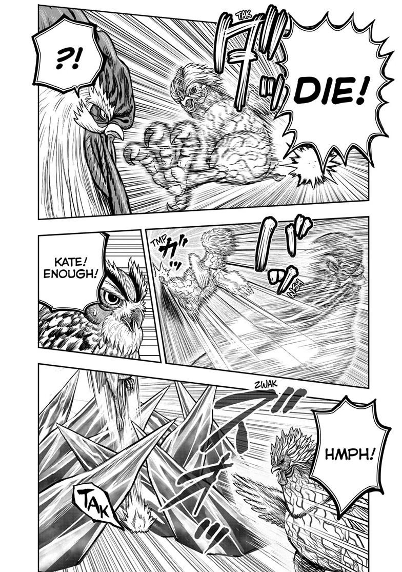 Rooster Fighter Chapter 61 page 30 - Chapter 61