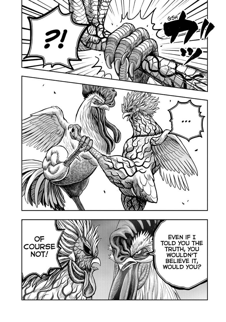 Rooster Fighter Chapter 61 page 32 - Chapter 61