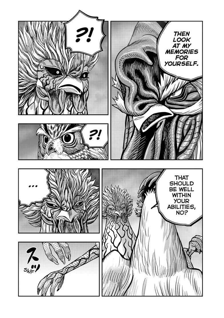 Rooster Fighter Chapter 61 page 33 - Chapter 61