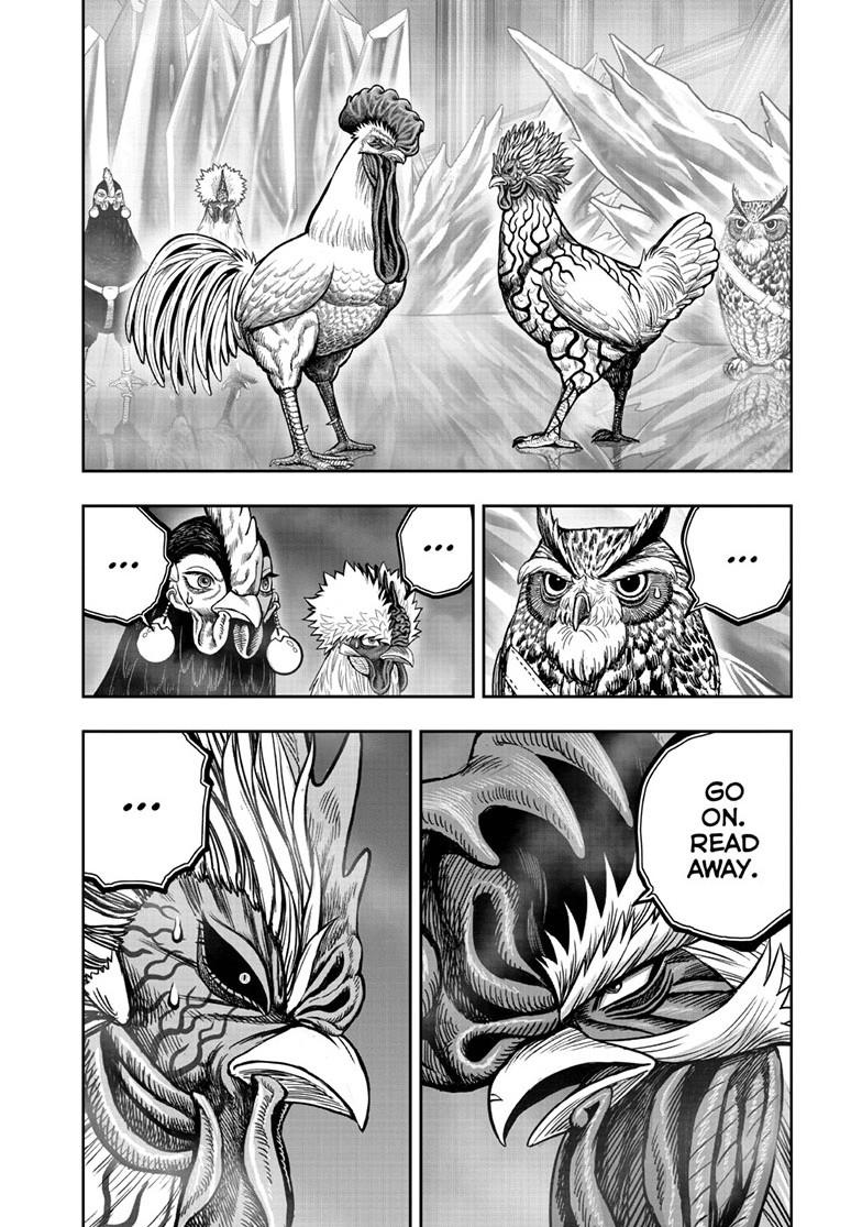 Rooster Fighter Chapter 61 page 34 - Chapter 61