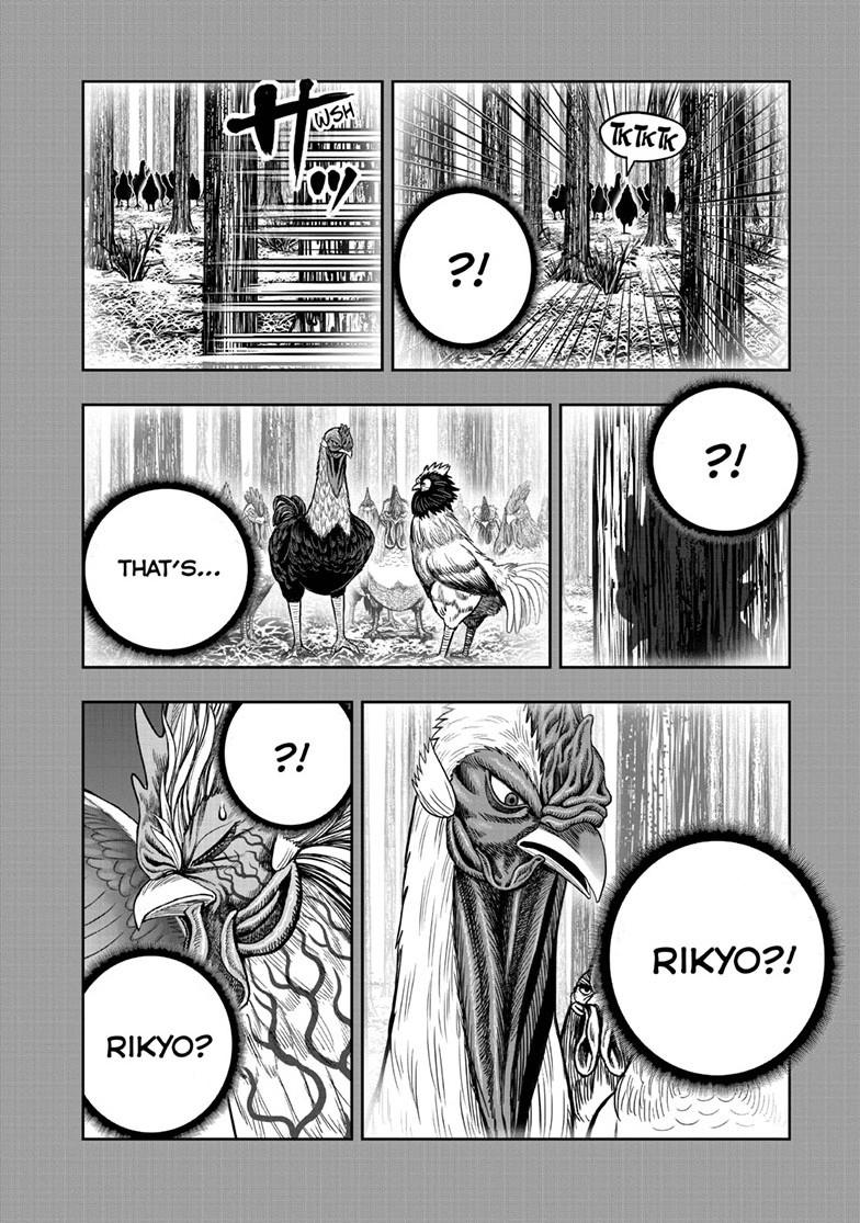 Rooster Fighter Chapter 61 page 38 - Chapter 61