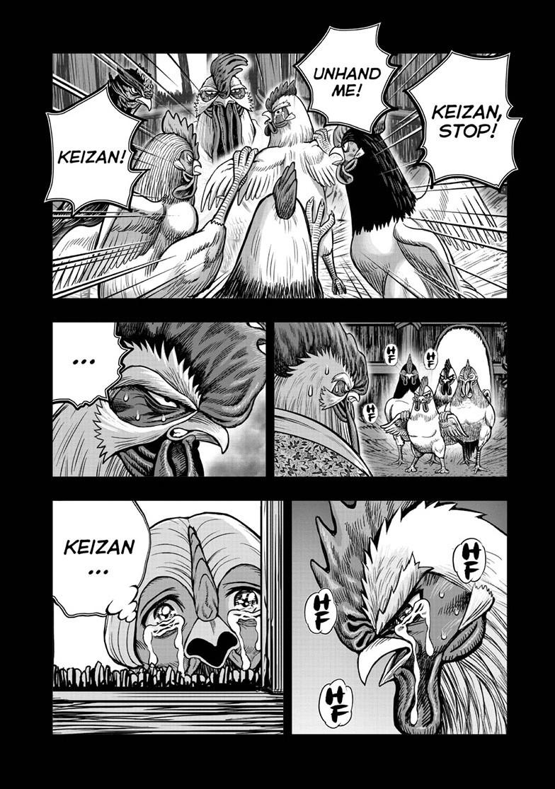 Rooster Fighter Chapter 62.1 page 12 - Chapter 62.1