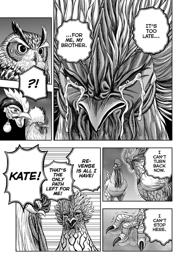 Rooster Fighter Chapter 62.1 page 23 - Chapter 62.1