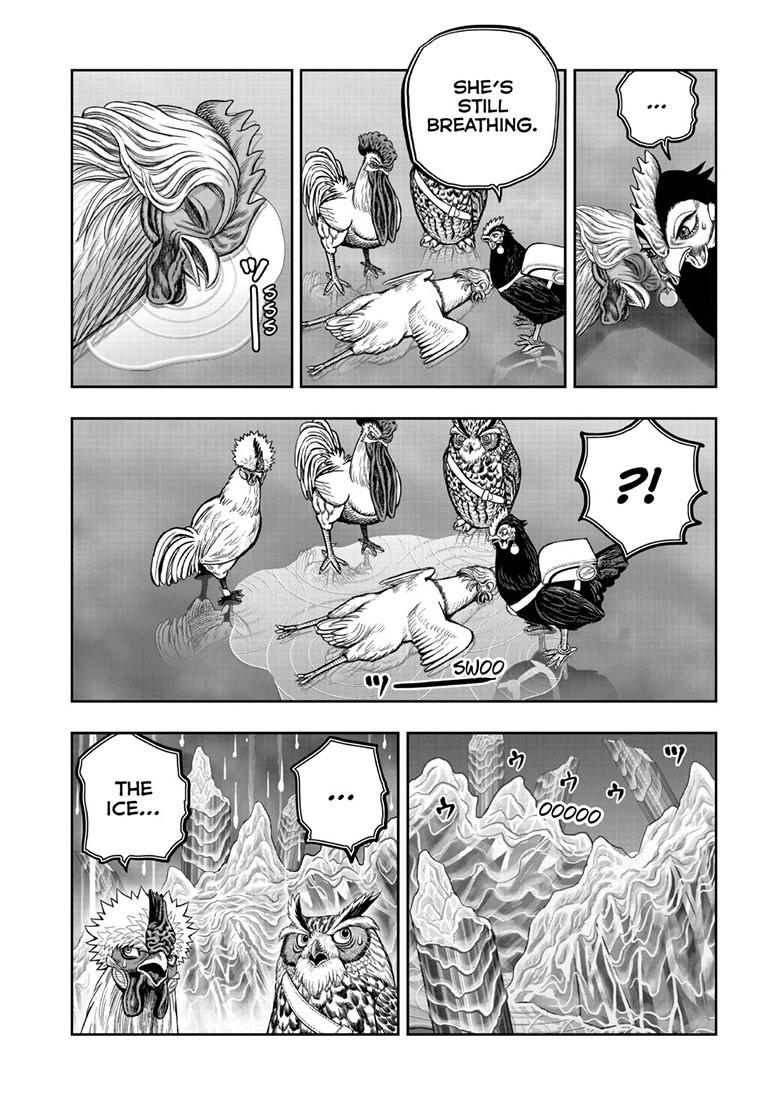 Rooster Fighter Chapter 62.2 page 14 - Chapter 62.2
