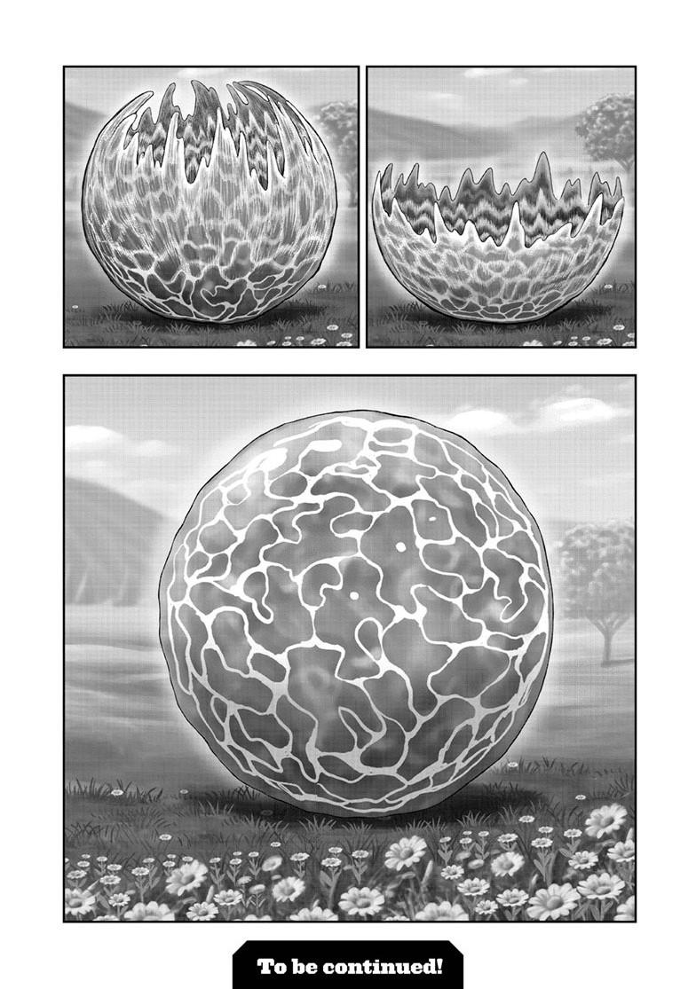 Rooster Fighter Chapter 62.2 page 20 - Chapter 62.2