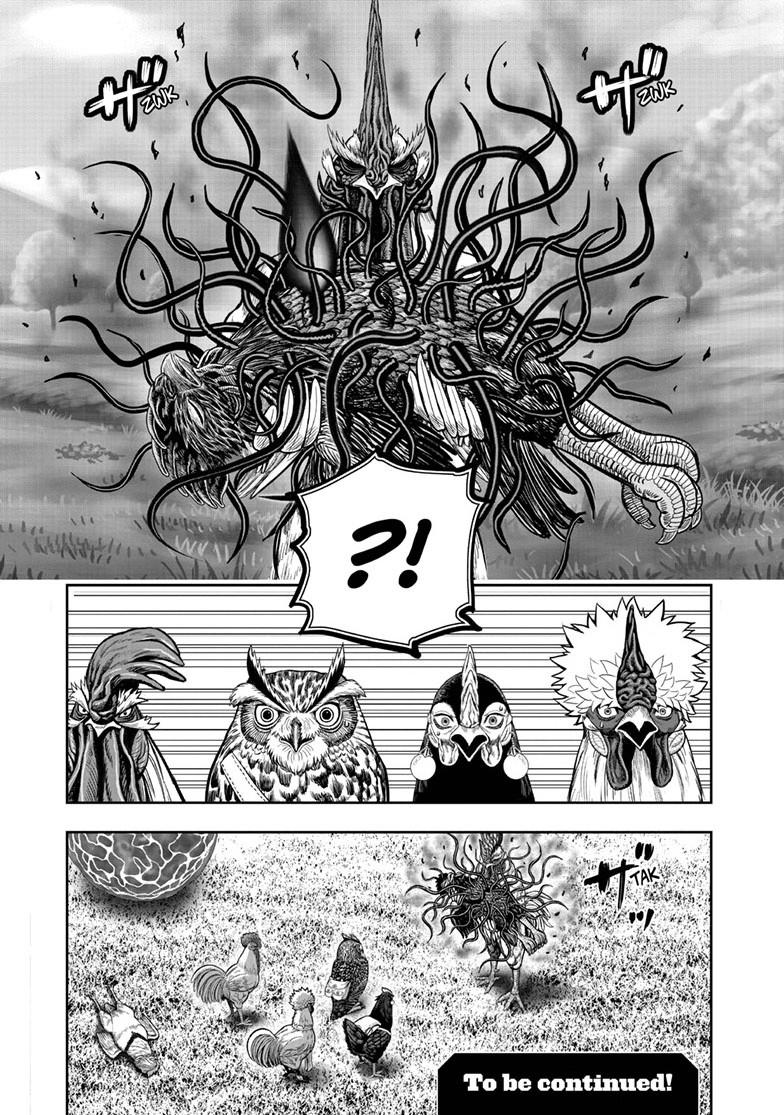 Rooster Fighter Chapter 63.1 page 13 - Chapter 63.1