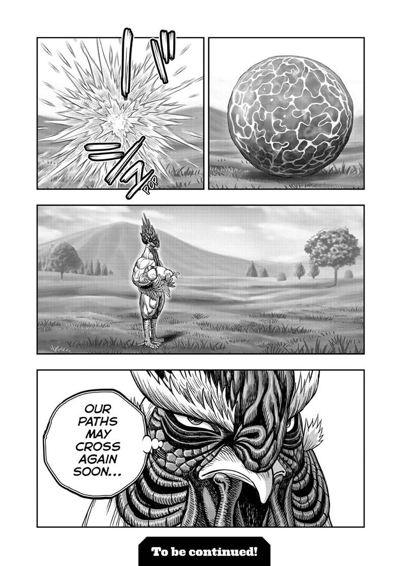 Rooster Fighter Chapter 63.2 page 11 - Chapter 63.2