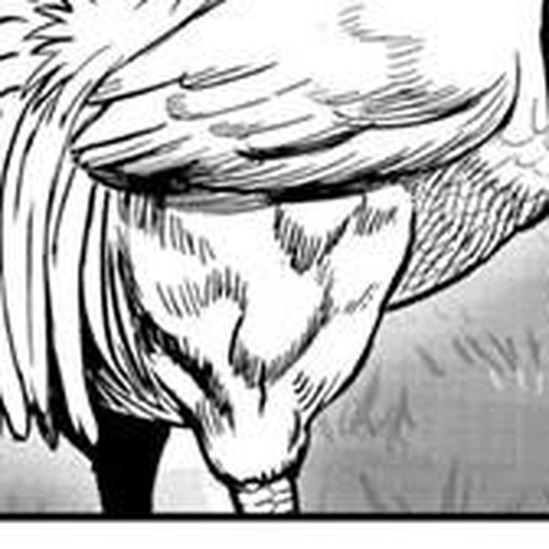 Rooster Fighter Chapter 63.2 cover