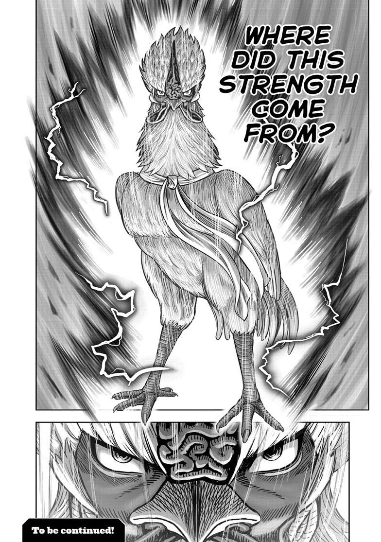 Rooster Fighter Chapter 64.1 page 18 - Chapter 64.1