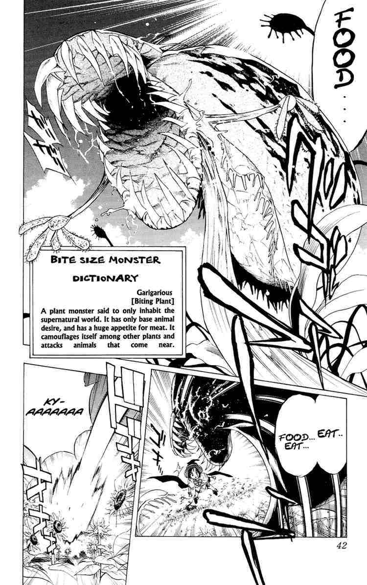 Rosario to Vampire Chapter 13 page 40 - Chapter 13: Sunflower Colored Summer Break
