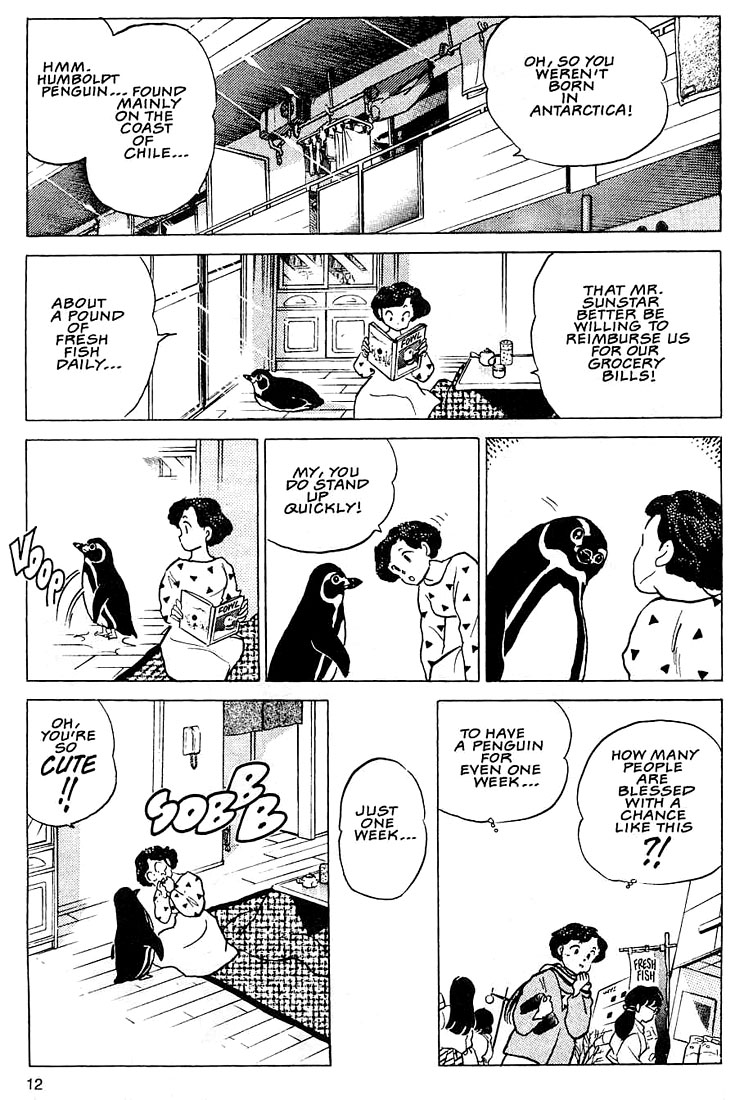 Rumic Theater Chapter 1.1 page 13 - Vol.1 Chapter 1: The Tragedy of P