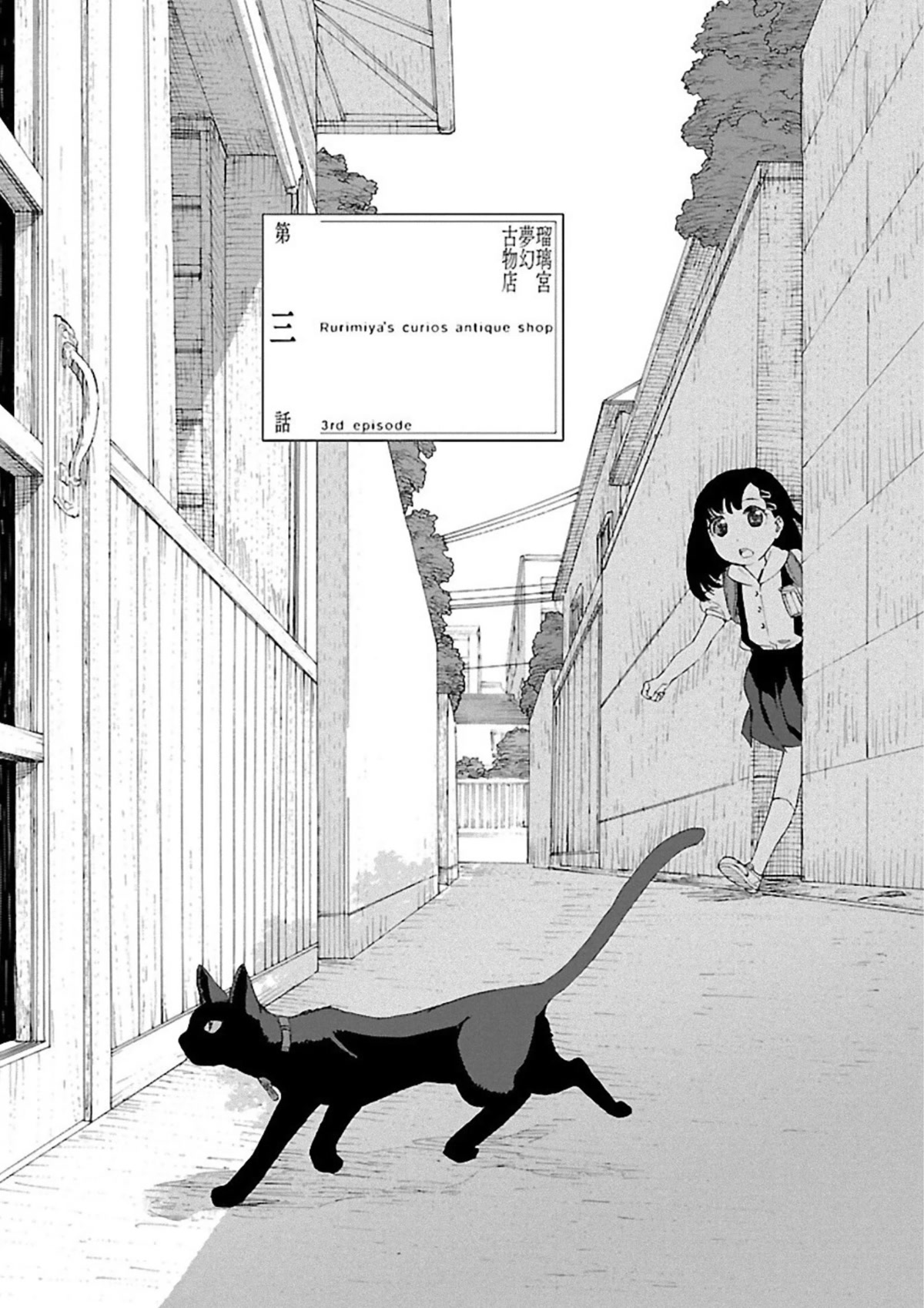 Rurimiya Mugen Kobutsuten Chapter 3 page 3 - Chapter 3